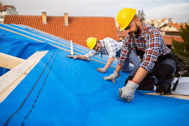 Fast & Reliable Emergency Roof Repairs in Luna Pier, MI